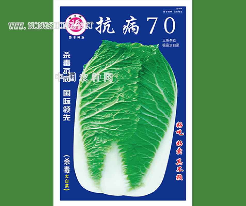 抗病70